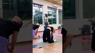 Backbend And Shoulder Stretching Yoga Workout  Camel Yoga Variation [upl. by Anerual564]