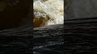 Lower Madawaska Scare canoecamping whitewater adventure camping backcountry rapids [upl. by Jarlen]