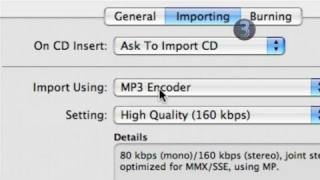 How To Change Your ITunes Songs To WAV Files [upl. by Aropizt923]