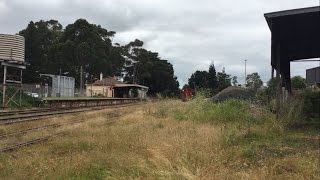 The ABANDONED Leongatha Station [upl. by Korry530]