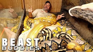 Snake God Wrestles 20ft Pythons  BEAST BUDDIES [upl. by Ambrosia125]