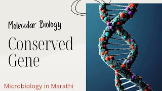 Conserved Gene  Molecular Biology  Microbiology in Marathi [upl. by Sally]