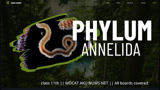 PHYLUM ANNELIDA  DETAILED LECTURE  DIVERSITY AMONG ANIMALS  AKU MDCATNUMSNET [upl. by Helge]