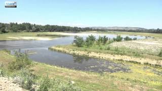 Renaturation de lîle du Rhin à Kembs [upl. by Aissat]