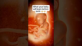 🤯🤯What Your Baby Already Knows By Birth [upl. by Akinom]