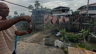 🇬🇾Making smoke fish🇬🇾Recreational Park🇬🇾Another day in Guyana🇬🇾 [upl. by Kursh67]