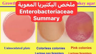 ملخص البكتيريا المعوية Enterobacteriaceae Summary [upl. by Gayl]