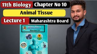 11th Biology  Chapter 10  Animal Tissue Lecture 1  maharashtra board [upl. by Dohsar6]