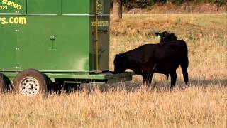 Automatic Livestock Feeder [upl. by Grory]