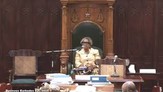 The Honourable The House of Assembly  Tuesday 26th November 2024  Part 1 [upl. by Stulin]