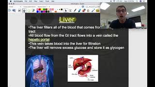 Lower GI Tract  Human Anatomy amp Physiology Digestive System [upl. by Flem629]