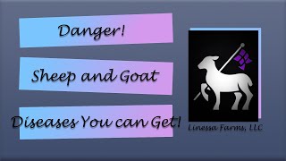 Diseases YOU Can Catch From Sheep and Goats [upl. by Aluor]