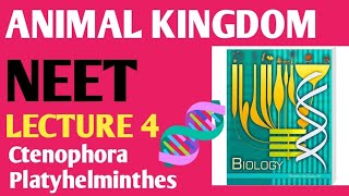 ANIMAL kingdom Lecture 4 Ctenophora and platyhelminthes NCERT 11 [upl. by Sueaddaht]