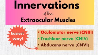 Innervations of the extraocular muscles [upl. by Madanhoj]