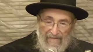 Rav Moshe wolfson Pinchos 5774 [upl. by Nonnair226]