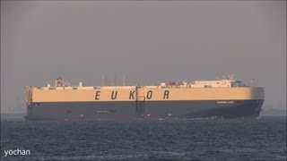 Vehicle Carrier Roro ship MORNING CARA EUKOR IMO 9574092 MMSI 355768000 [upl. by Nrol]