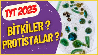 BİTKİLER ALEMİ  PROTİSTALAR ALEMİ  Canlıların Sınıflandırılması  TYT BİYOLOJİ 2023  Bölüm 20 [upl. by Mcnamee261]