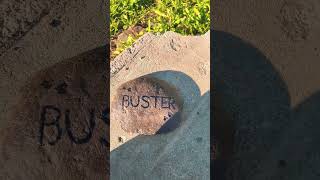 Buster boo’s headstone ♥️ [upl. by Didier]