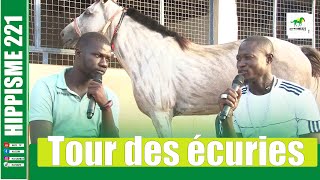 TOUR DES ECURIES  ECURIE NDIAP CHEZ BADOU NDIAYE [upl. by Einahpehs410]