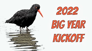 2022 Birding Big Year Kickoff [upl. by Kacerek]