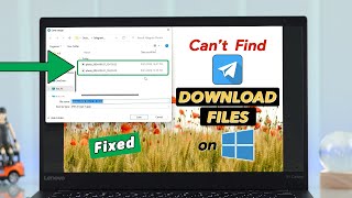 Where to Find Telegram Downloaded Photos Videos or Files on Windows How to See [upl. by Etteniotna]