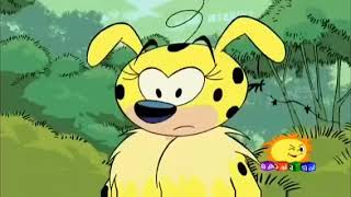 Marsupilami Malayalam Cartoon😁😁 Kochu tv 📺 cartoon malayalam animal cartoonforkids [upl. by Nylsaj759]