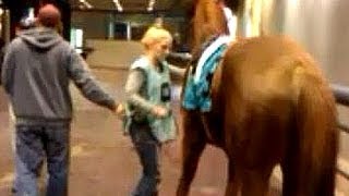 Horse saddling at Woodbine Race Track [upl. by Salkin628]