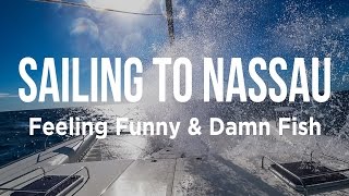 Sailing to Nassau  Feeling Funny amp Damn Fish [upl. by Ralston]