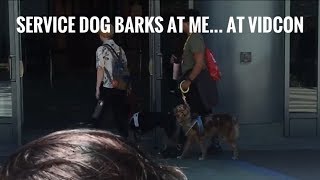 Service Dog BARKS at me at VidCon W84 [upl. by Oneladgam]