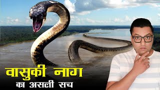 क्या है वासुकि नाग का रहस्य  Insane Discovery in India  Worlds Largest Snake Vasuki Indicus [upl. by Arhas]