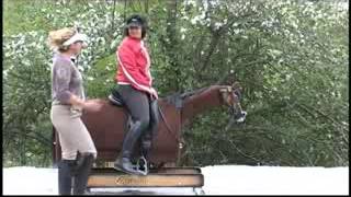 Dressage Experts Ruth Poulsen amp Jane Savoie Review Horse Riding Simulator the Equicizer [upl. by Leinahtan813]