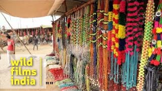 Stalls set up during Pushkar mela Rajasthan [upl. by Aim]