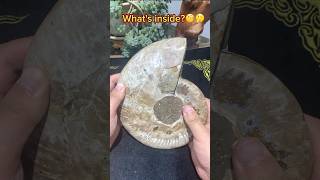 Whats inside🧐 crystals fossil [upl. by Yerroc]