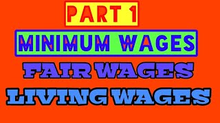 Who Is the Minimum Wage Really Protecting [upl. by Jeth]