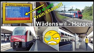 Unterbruch im Bahnhof Richterswil  Zugfahrt von Wädenswil nach Horgen Kanton Zürich Schweiz 2022 [upl. by Ahsiekram]