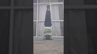 Head stand  Puppy Pose 13November 2024 shorts shortsvideo headstand puppypose [upl. by God]