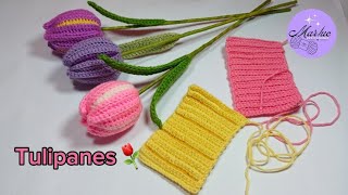 tulipanes dos colores🌷tejidos a crochet⚘️fácil y sencillo de hacer ⚘️🫶tejidosacrochet crochet [upl. by Coopersmith]