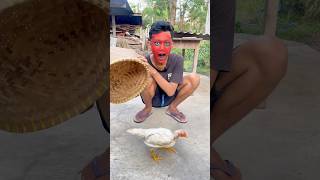 SULAP AYAM HITAM PUTIH AJAIB 🐦‍⬛🐔 shorts magic sulap ayam [upl. by Swehttam]