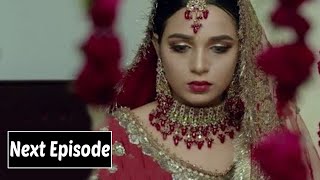 Tark E Wafa Episode 46 Promo l Drama Tark E Wafa Episode 46 l Tark E Wafa Epi 46 l Drama Update [upl. by Sivart70]