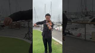 Hedwigs Theme Harry Potter harrypotter harrypotteredit violin violincoverviolinist hedwig [upl. by Neysa]