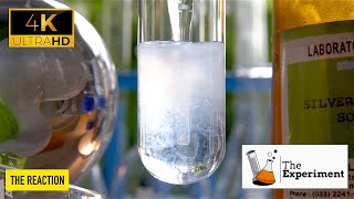 What is the reaction of Silver nitrate AgNO3 and ManganeseII sulphate MnSO4  AgNO3  MnSO4 [upl. by Lower854]