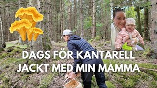 HITTAR VI NÅGRA KANTARELLER vlogg [upl. by Seve]