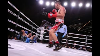 Pablo Cesar Cano vs Jorge Linares  Knockout Highlights 🇲🇽🇻🇪 [upl. by Kowtko]