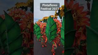 Pintaflores Festival 2023 Street Dancing Competition pintaflores2023 [upl. by Crowns237]