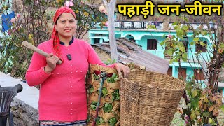 पहाड़ी लोग ऐसी चीजों पर गौर नहीं करते हैं  Pahadi Lifestyle Vlog  Priyanka Yogi Tiwari [upl. by Oman]