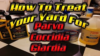 XL American Bully How To Treat Your Yard For Parvo Coccidia amp Giardia  Flea amp Tick Yard Treatment [upl. by Daniela]