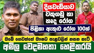 අමිල වෙදමහතාගේ අරුම පුදුම හෙළ ඖෂධ උයන ප්‍රථම වතාවට මාධ්‍යට  Amila Sanjeewa Wedamahatha [upl. by Aleusnoc]