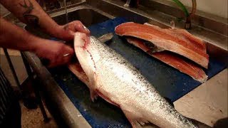 How To Fillet SalmonInto Salmon SidesFilletsQUICKLY [upl. by Isleen]