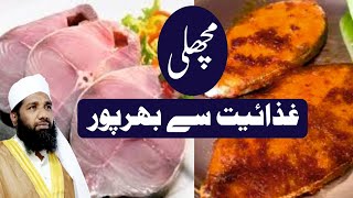 Fish BENEFITS  FISH  VANJARAM FISH  MOHAMMED THALHA RASHADI OFFICIAL [upl. by Hadsall]