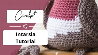 Intarsia Crochet Tutorial [upl. by Sammons]